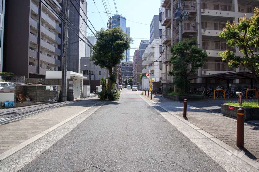 敷地西側の前面道路（北側から）