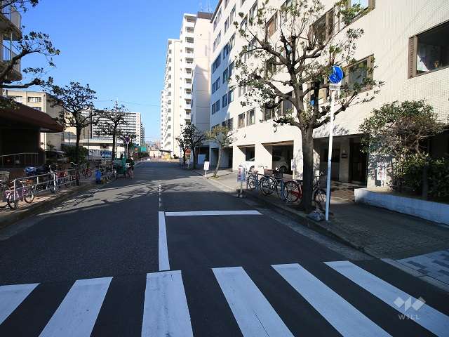 敷地南側の前面道路（東側から）