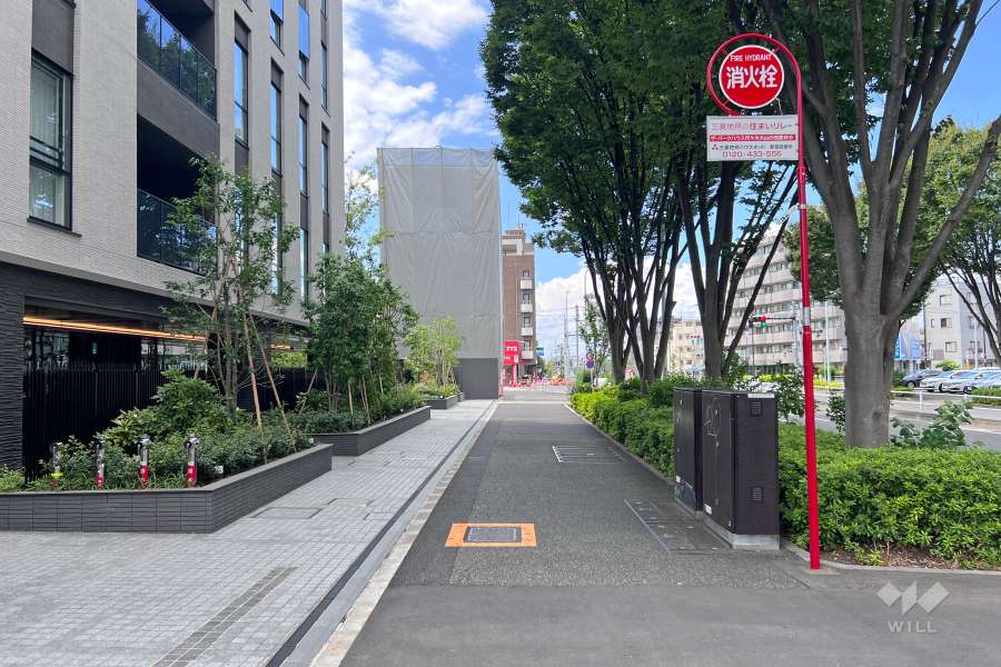 敷地北側の前面道路（東側から）