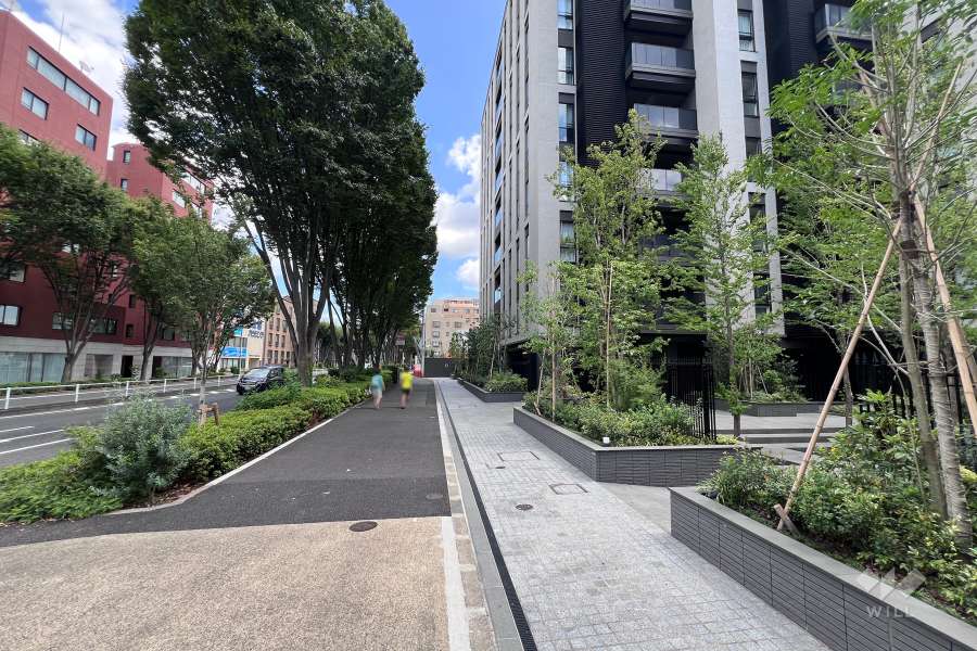 敷地北側の前面道路（西側から）