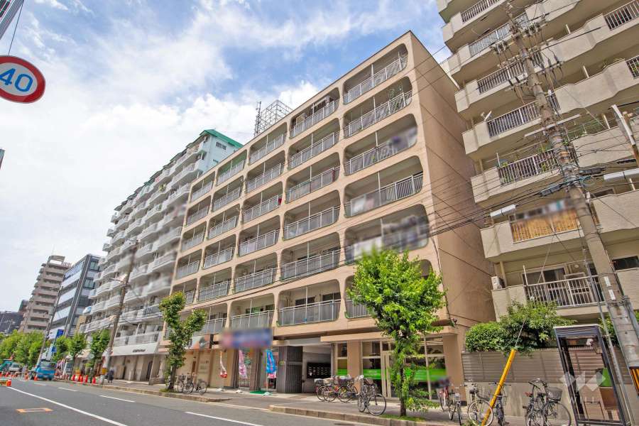 ニュー大阪ハイツ（宮原5丁目）の外観（南東側から