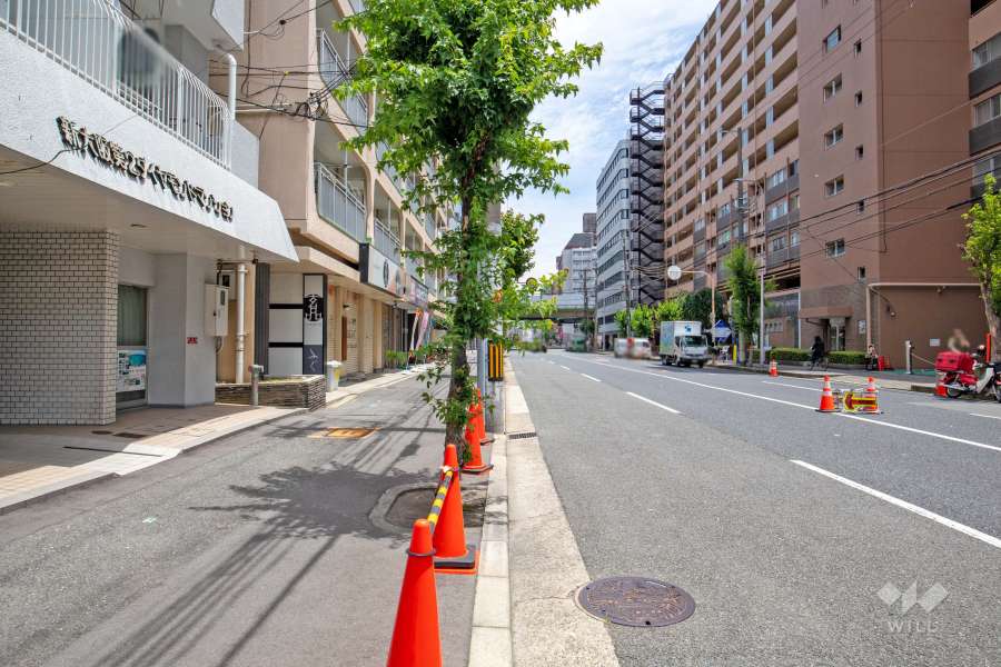 敷地南側の前面道路　