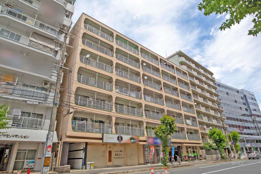 ニュー大阪ハイツ（宮原5丁目）の外観（南西側から）