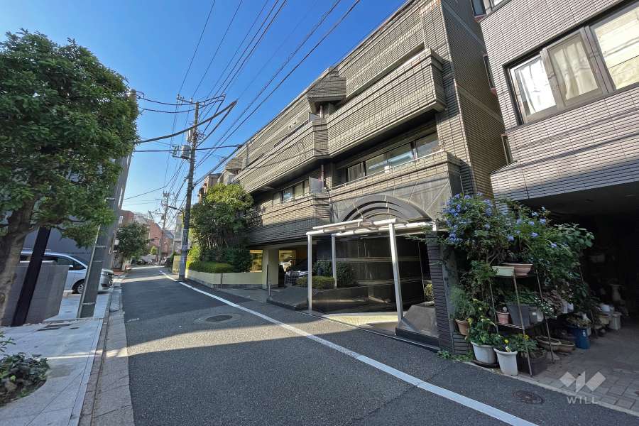 敷地の南側前面道路（東側から）