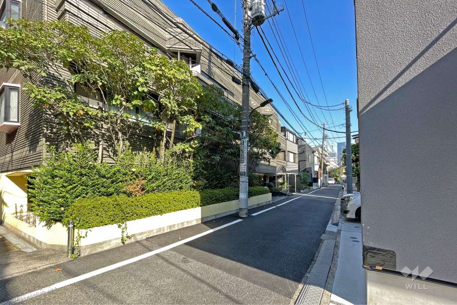 敷地の南側前面道路（西側から）