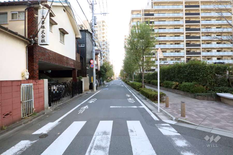 敷地西側の前面道路(南側から)