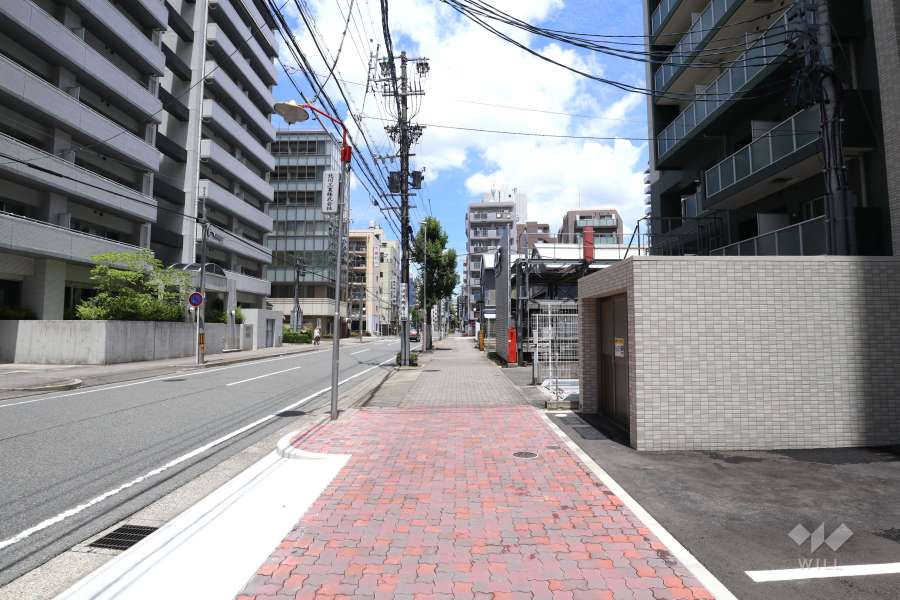 敷地西側の前面道路（南側から）