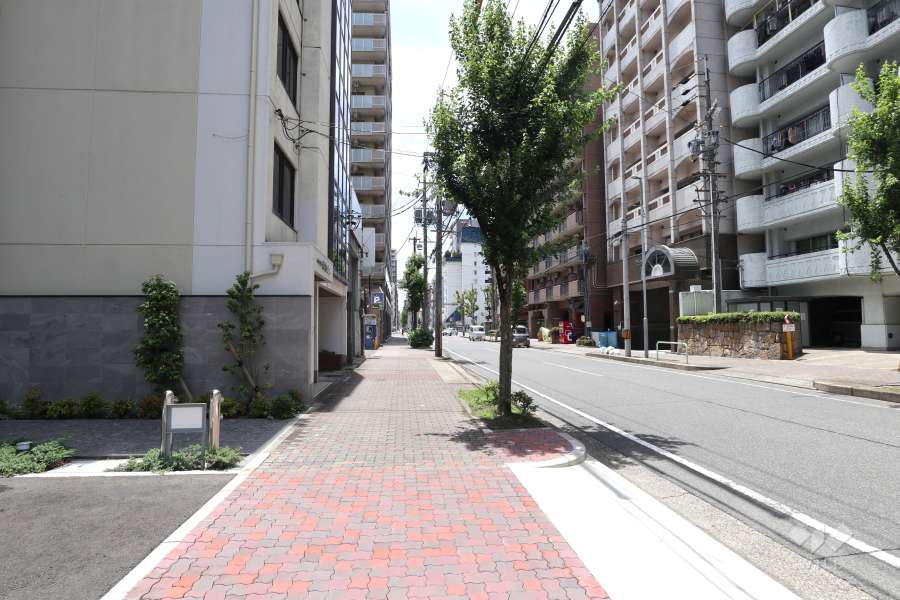 敷地西側の前面道路（北側から）