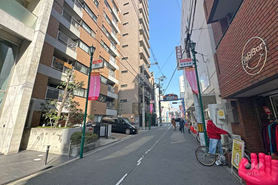 敷地南側の前面道路（西側から）