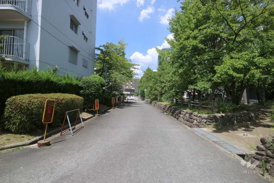 敷地東側の前面道路