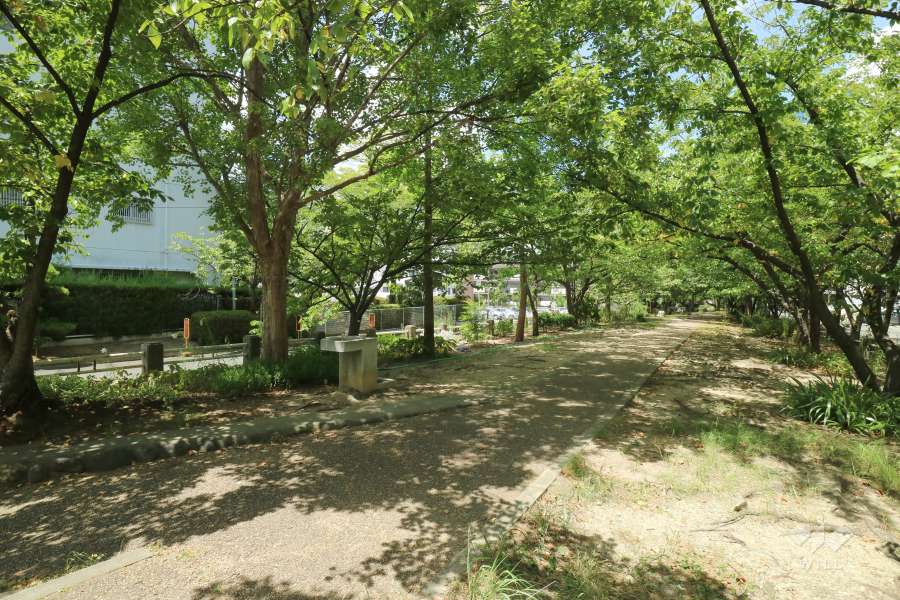 敷地東側にある公園（緑道）