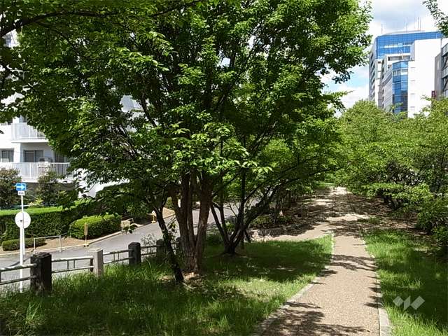 敷地の東側は道を挟んで公園に面しています。