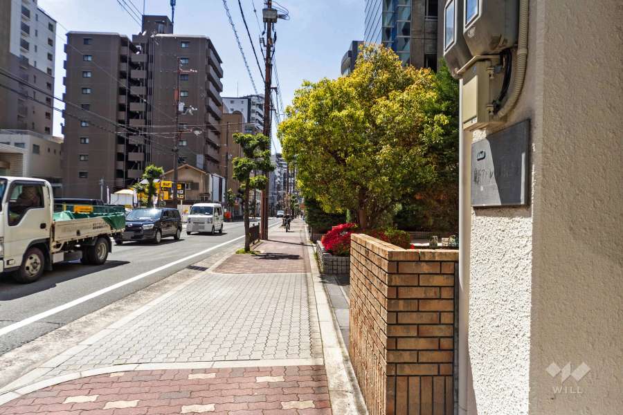 敷地の南東側前面道路（北東側から）