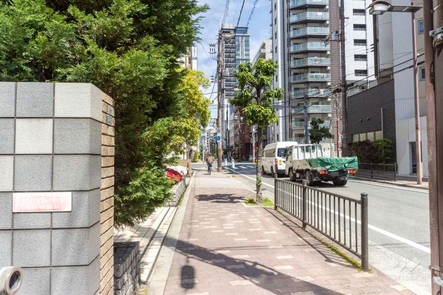 敷地の南東側前面道路（南西側から）