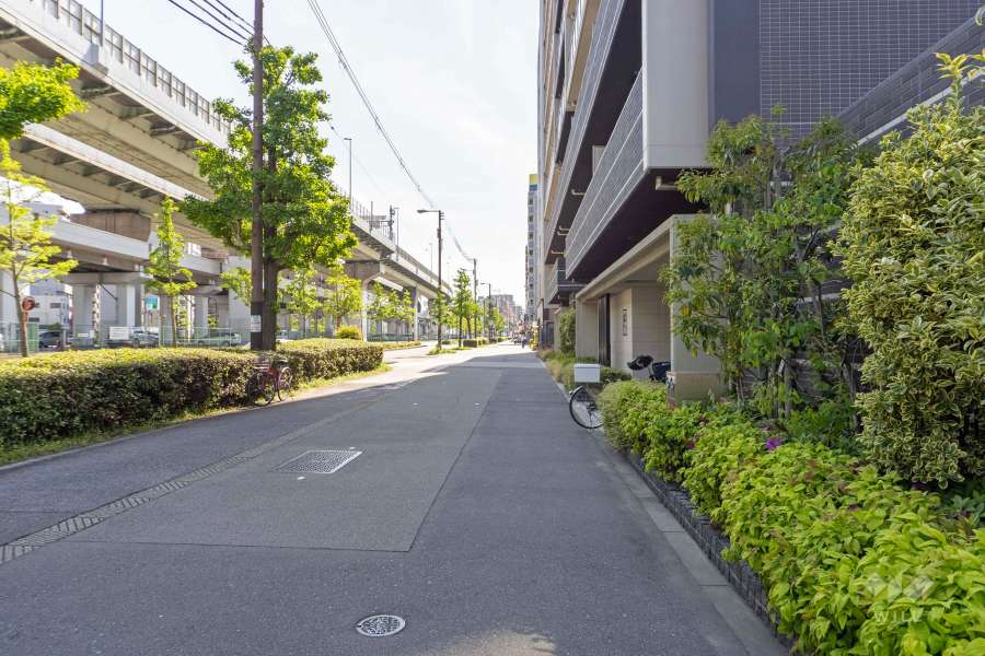 敷地南東側の前面道路