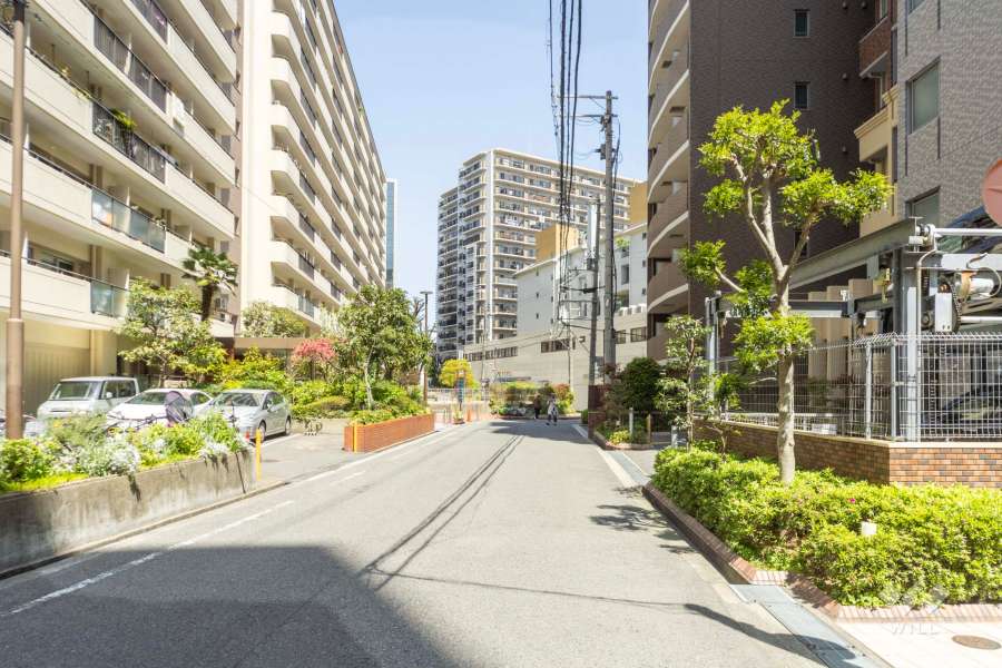 敷地の西側前面道路（南側から）