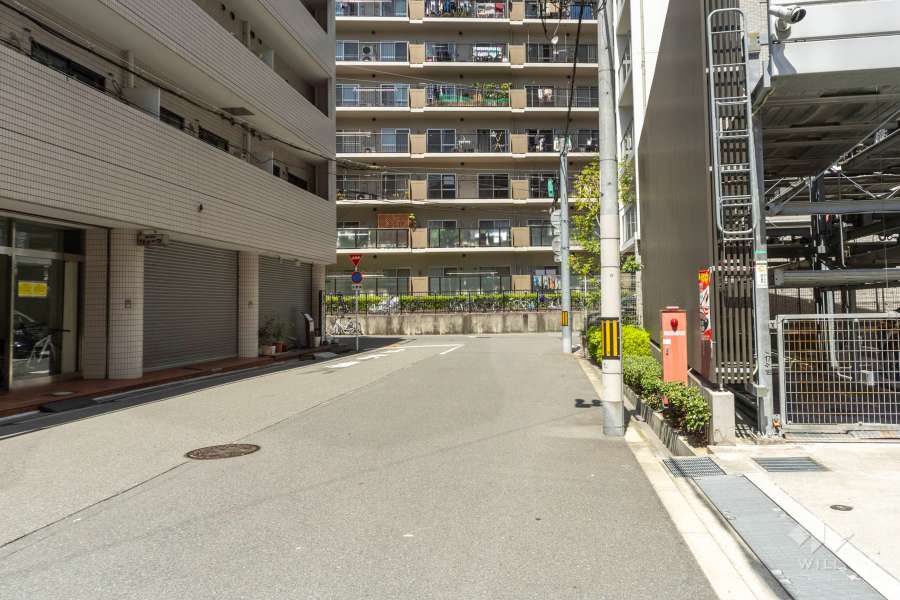 敷地の南西側前面道路（南東側から）