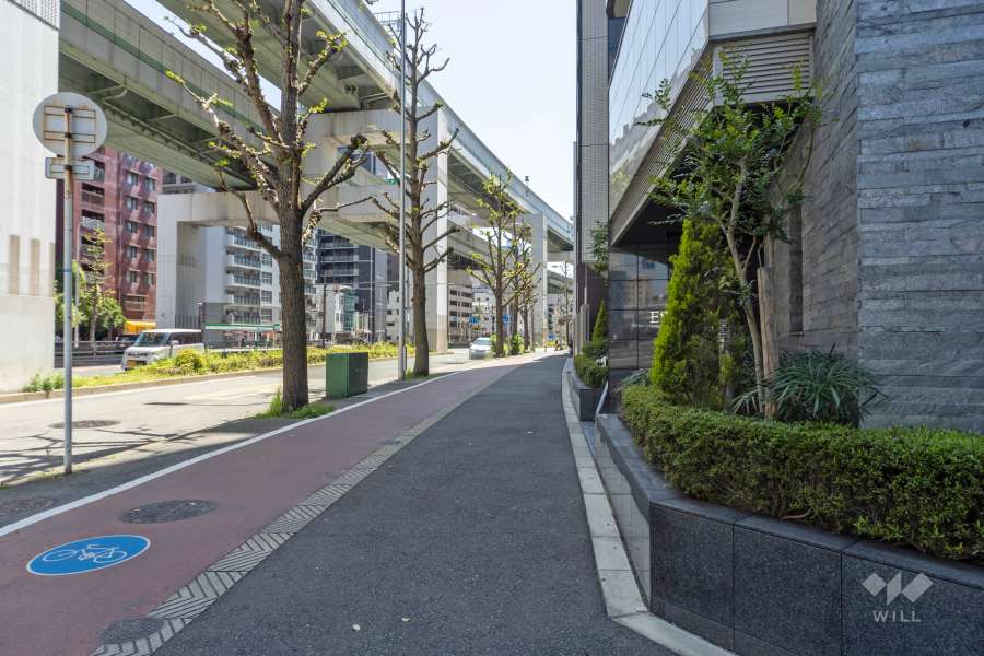 敷地の北東側前面道路（北西側から）