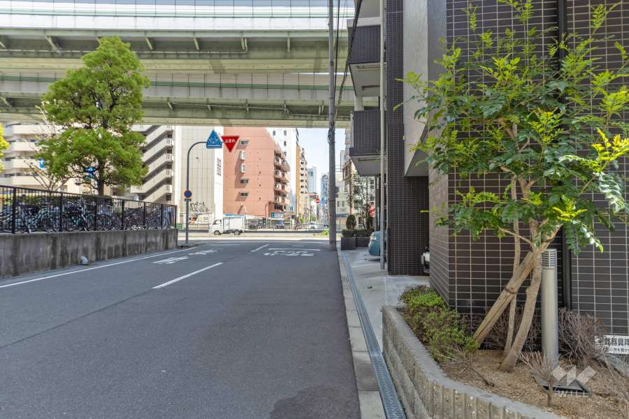 敷地の北西側前面道路（南西側から）