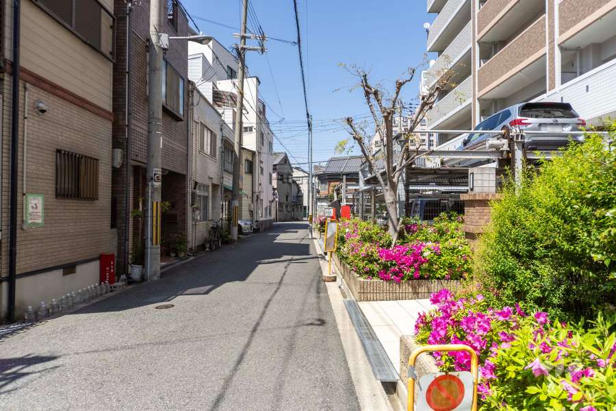 敷地の西側前面道路（南側から）