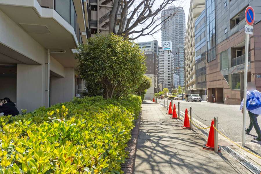 敷地西側の前面道路（北側から）