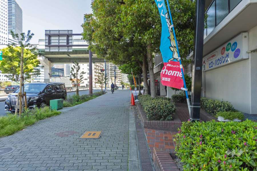 敷地北側の前面道路（西側から）