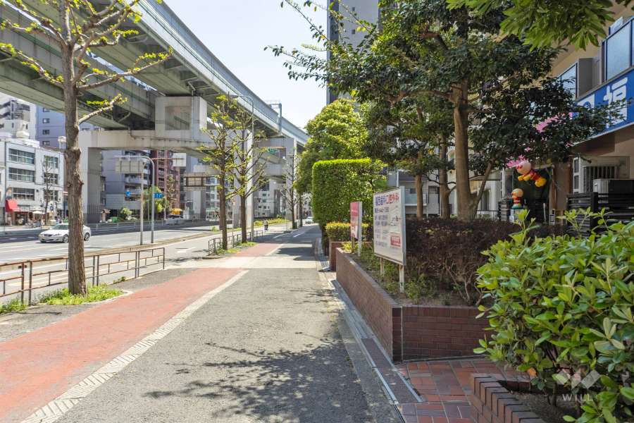 敷地東側の前面道路（北側から）
