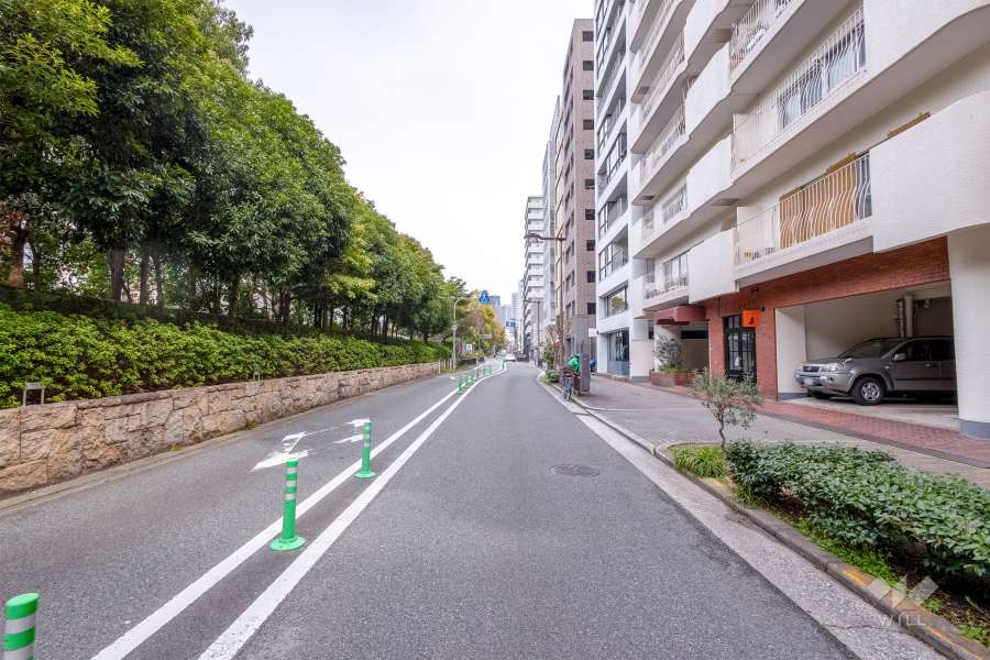 敷地北側の前面道路（西側から）