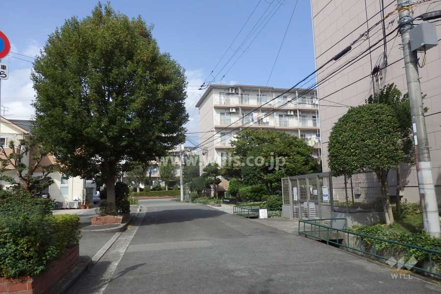 敷地西側の前面道路