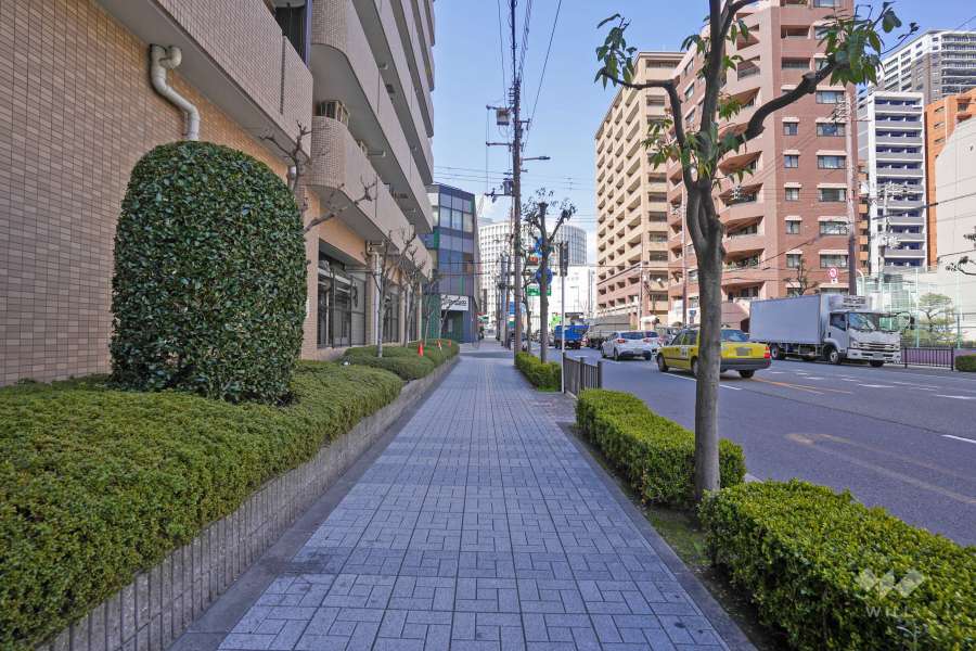 敷地の東側前面道路は「あみだ池筋」です（南側から）。