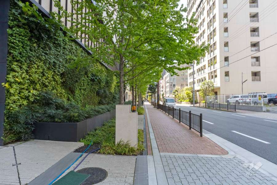 駐車場の出入り口