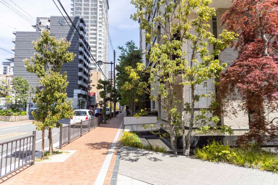 敷地の北西側前面道路（南西側から