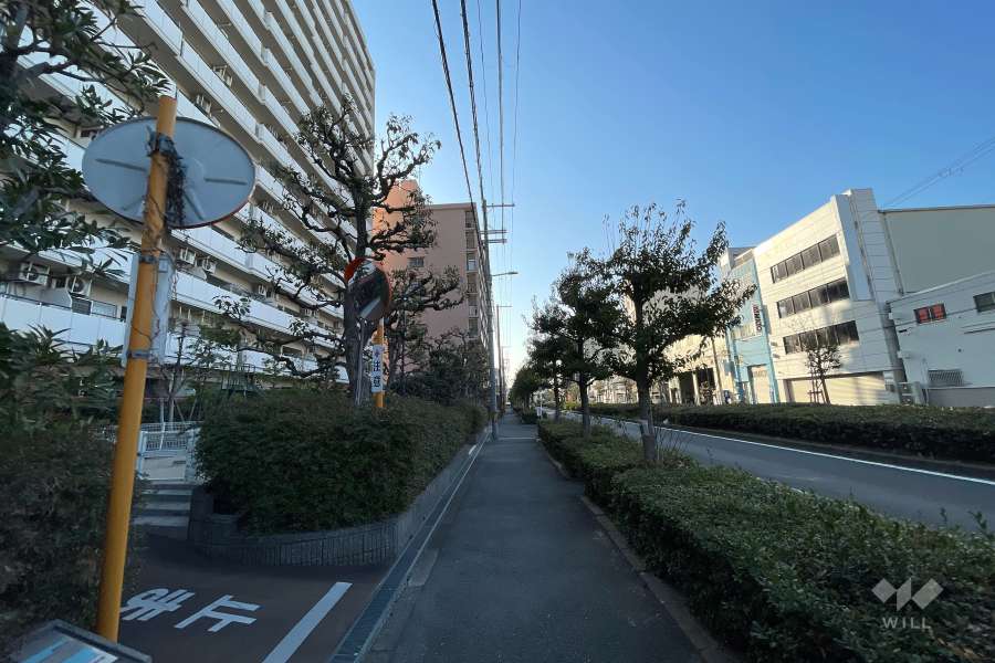 敷地南西側の前面道路（北西側から）