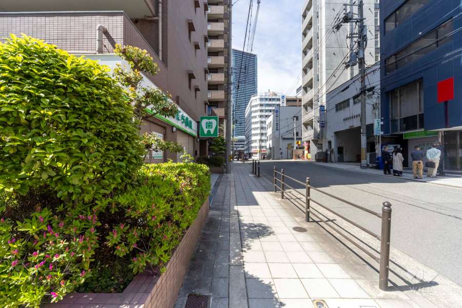 敷地北東側の前面道路（南東側から）
