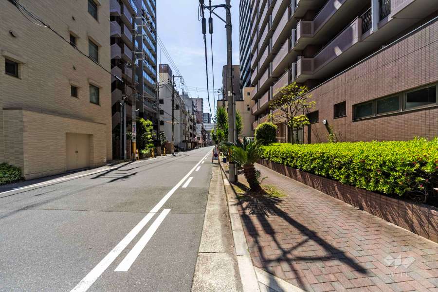 敷地南東側の前面道路（北東側から）