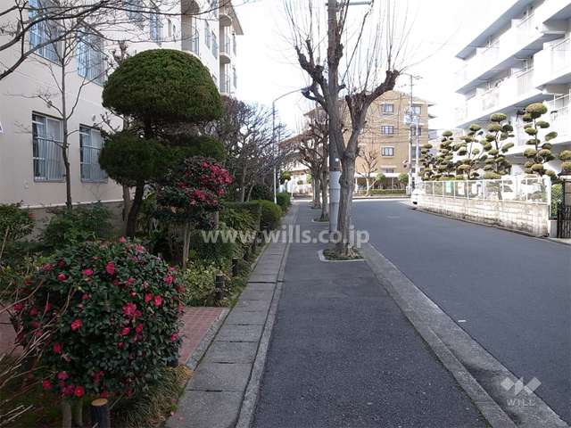 敷地北側の通り。周辺は静かな住宅地です。