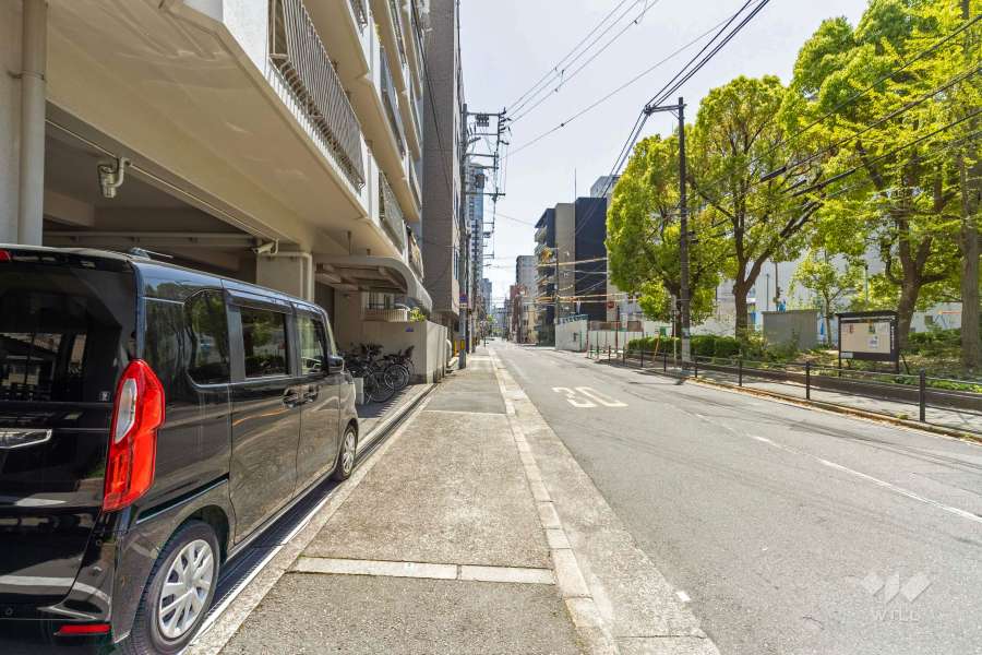 敷地西側の前面道路（北側から）