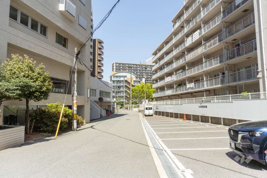 敷地の西側前面道路（南側から）