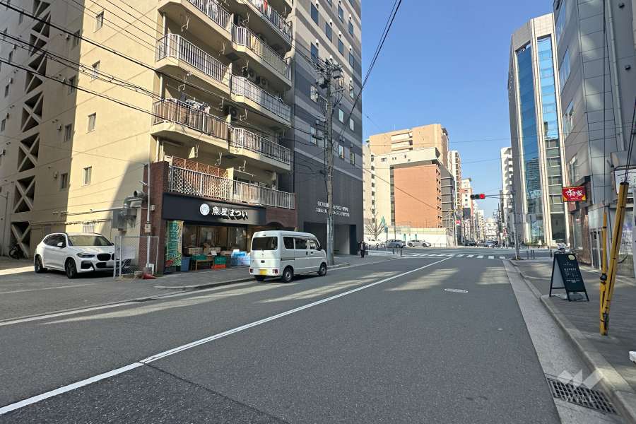 敷地南側の前面道路（西側から）