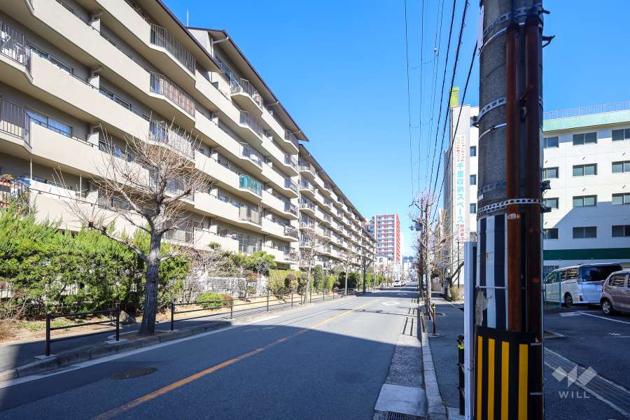 敷地南側の前面道路(西側から)