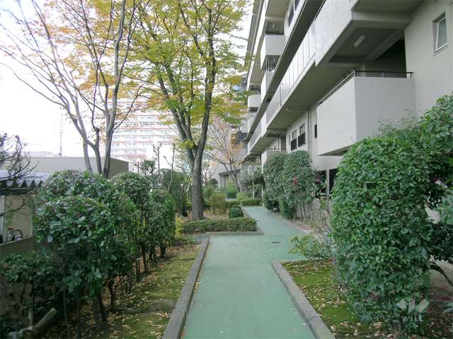 敷地内は緑豊かです