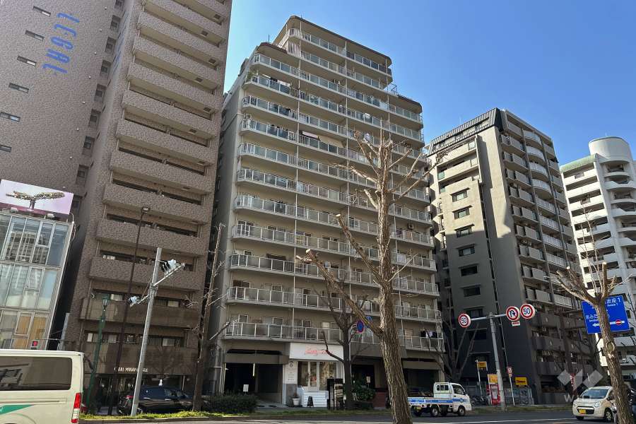 サンハイツ南堀江の外観（南東側から）