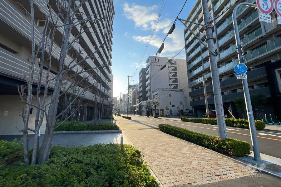 敷地南側の前面道路
