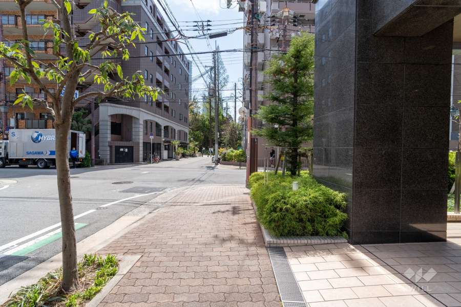 敷地の東側前面道路（北側から）