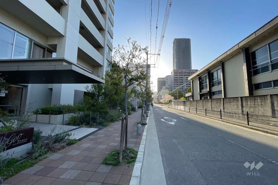 敷地南側の前面道路（西側から）