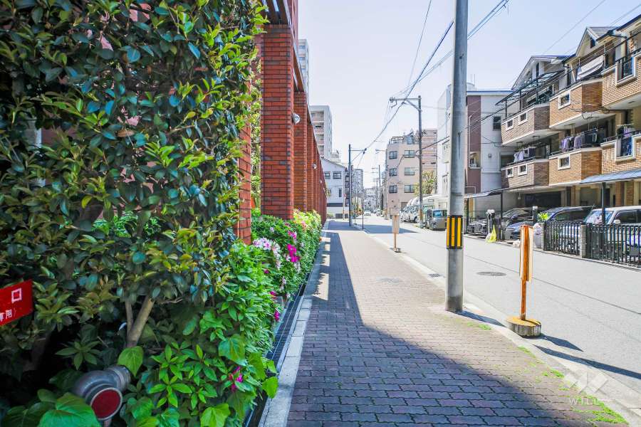 敷地北西側の前面道路（北東側から）