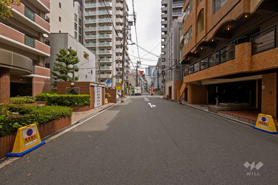 敷地南側の前面道路（西側から）