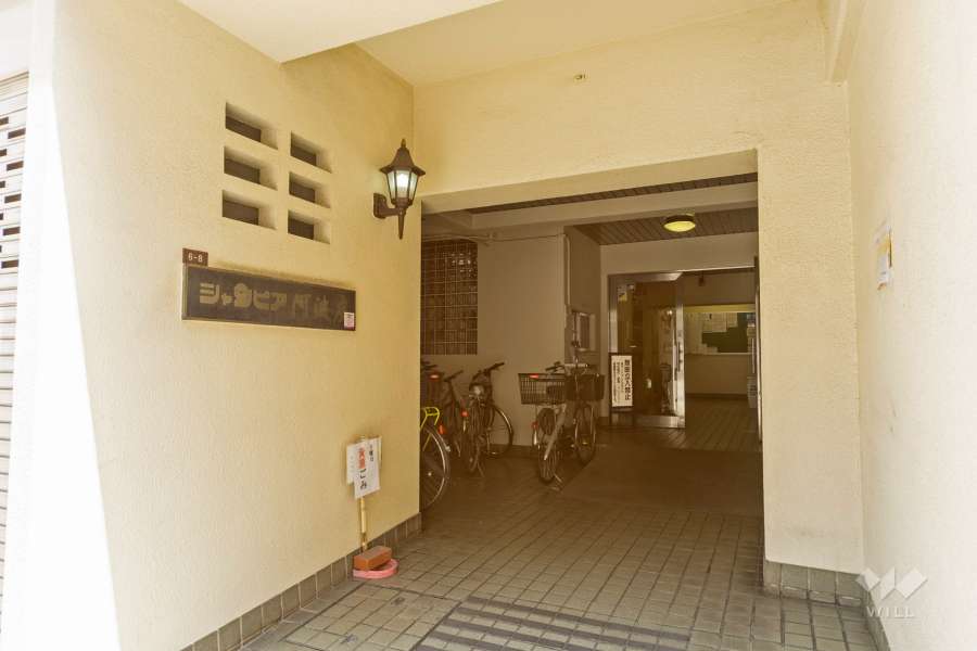 エントランスと駐輪場