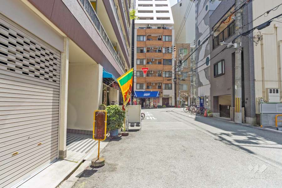 敷地の南西側前面道路（北西側から）