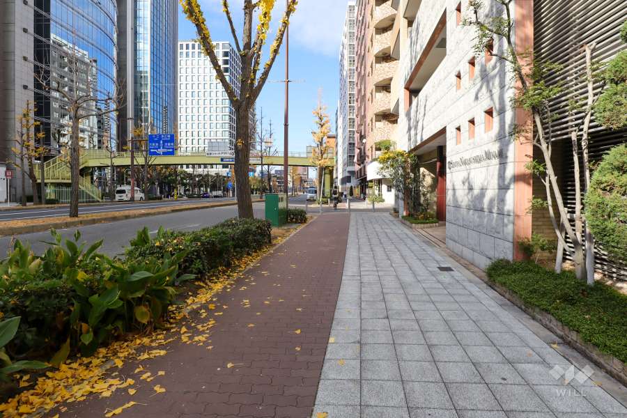 敷地南西側の前面道路（南東側から）